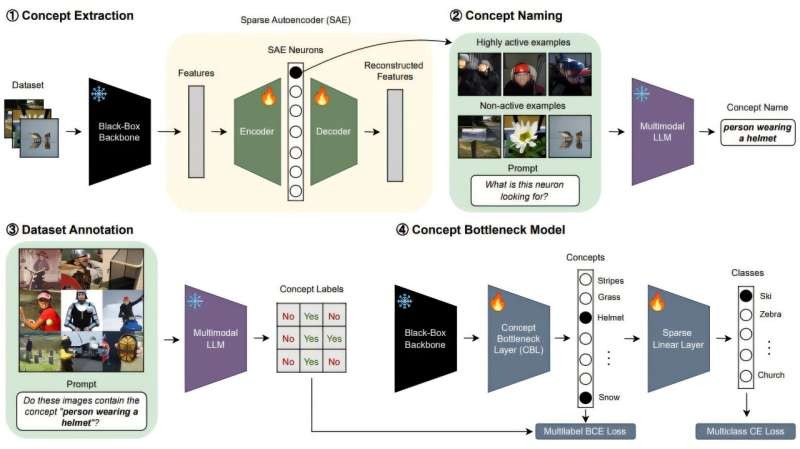 Why AI Models Need to Explain Their Decisions