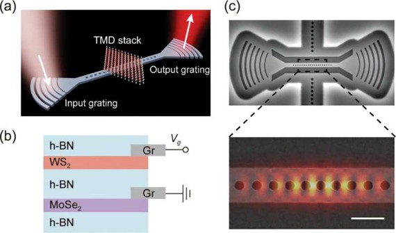 Light-Based AI Chip Technology Could Slash Energy Use in Future Computing